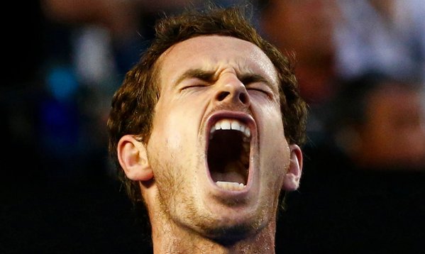 Andy Murray meme