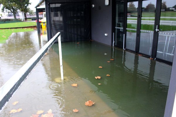 Seddon Park looking good