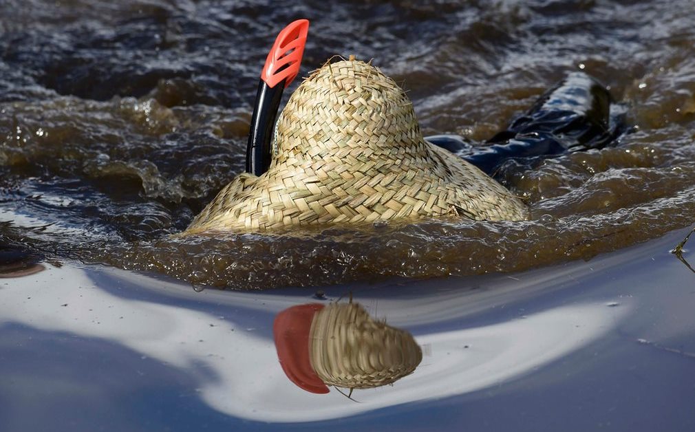 Bog snorkeling