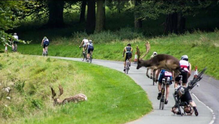 Dublin City Triathlon