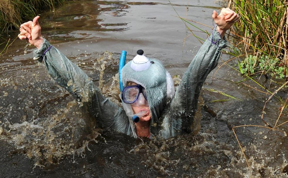 bear bog snorkeling