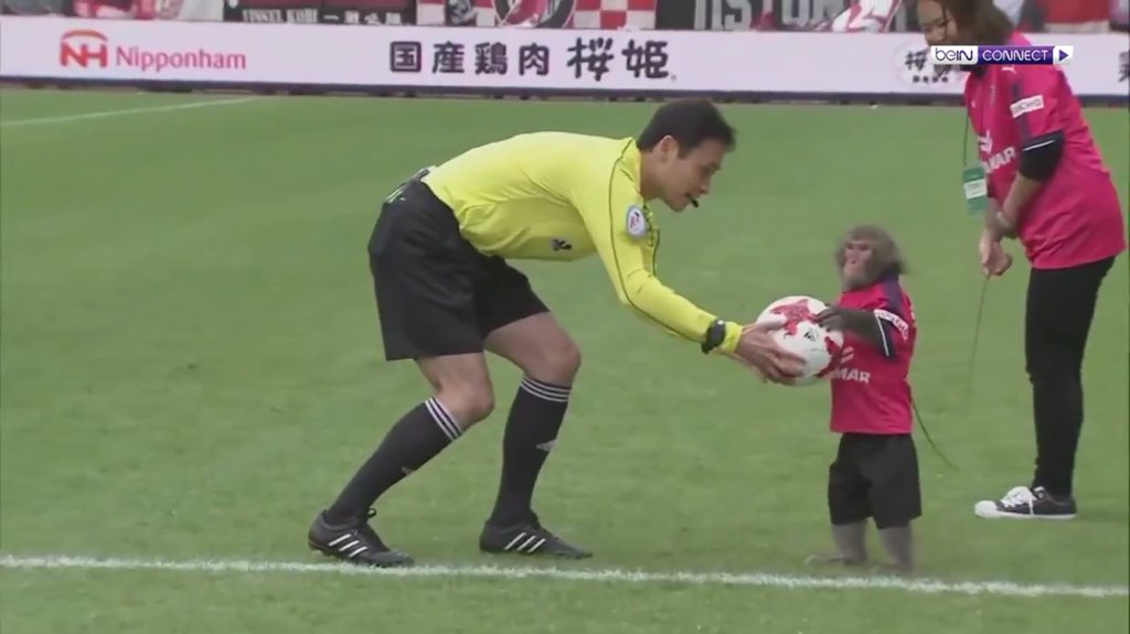 J-League mascot monkey presents ball to ref before Cerezo Osaka vs. Vissel Kobe